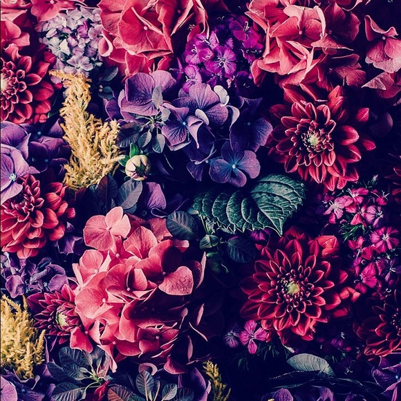 Meet your Posher, Cait - Picture 1 of 1